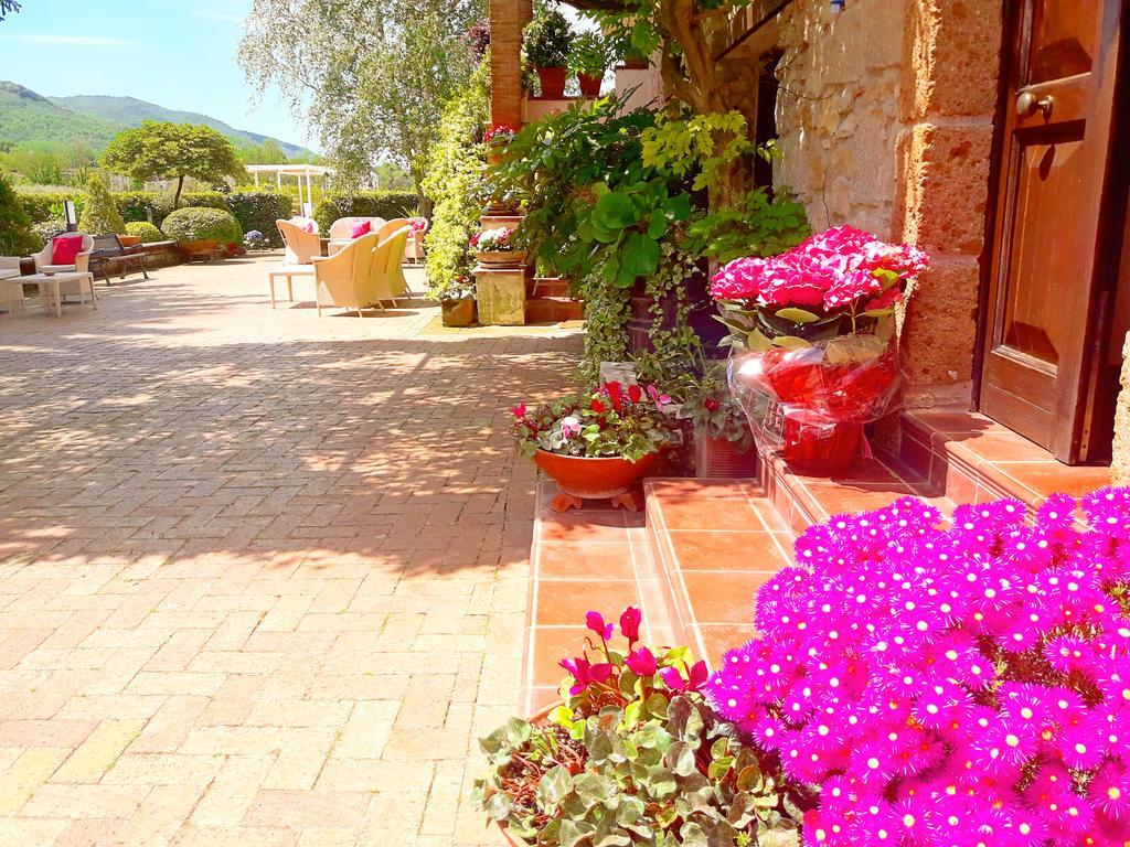 Il Casale Di Riardo Luxury B&B Exteriér fotografie
