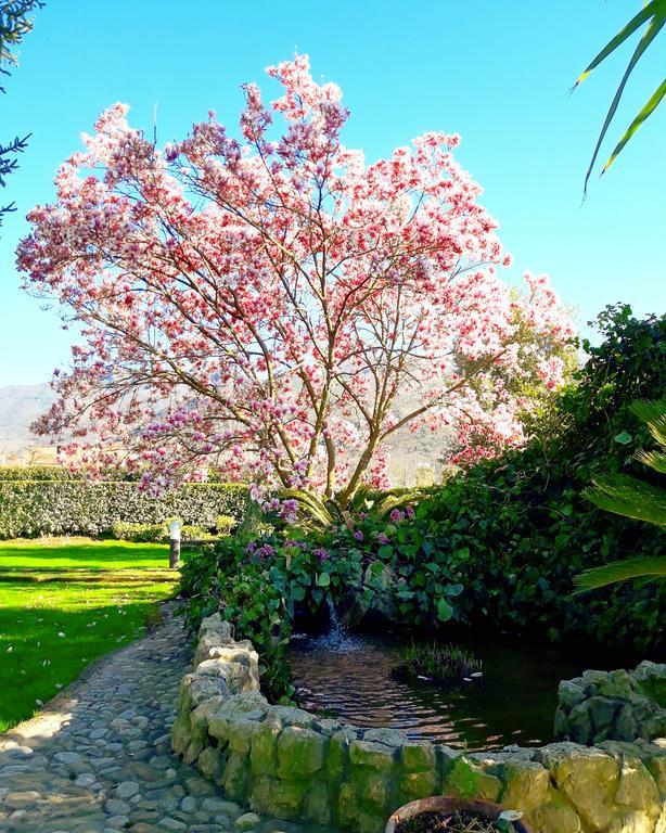 Il Casale Di Riardo Luxury B&B Exteriér fotografie